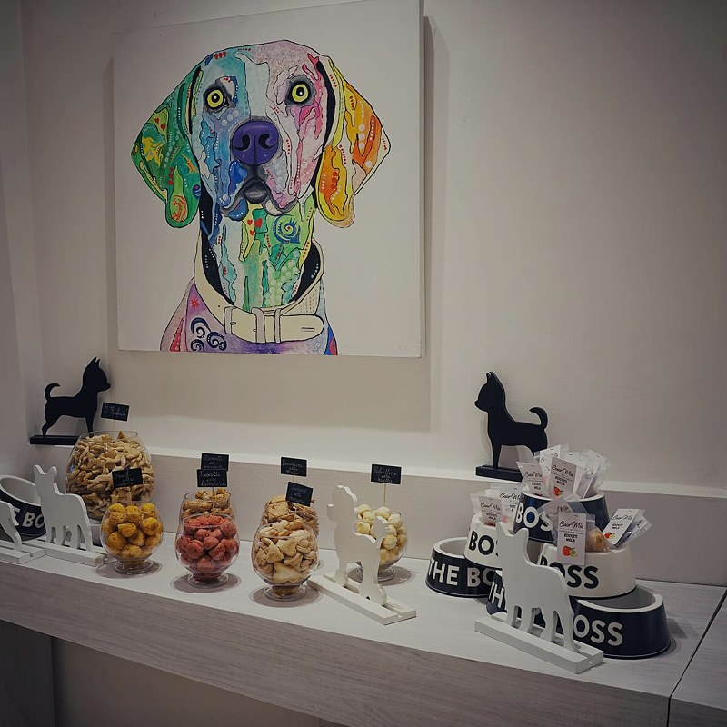 Cibo per cani